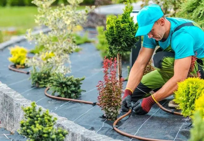 Landscaping Accounting