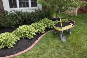 Accounting for Landscaping Business